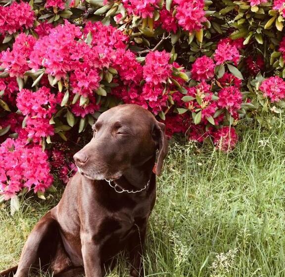 ペンション Weberhof Hopfgarten