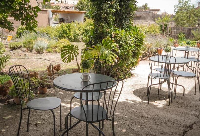 Sa Fita Backpackers   Albergue Juvenil