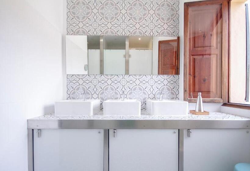 Sa Fita Backpackers   Albergue Juvenil