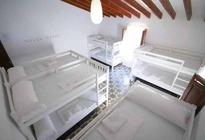 Sa Fita Backpackers   Albergue Juvenil