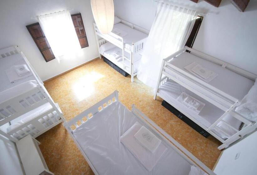 Sa Fita Backpackers   Albergue Juvenil