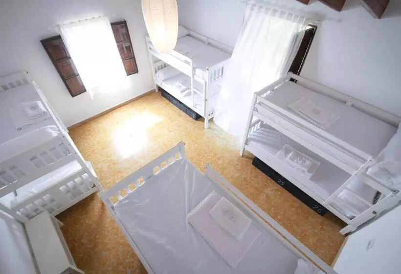 Sa Fita Backpackers   Albergue Juvenil
