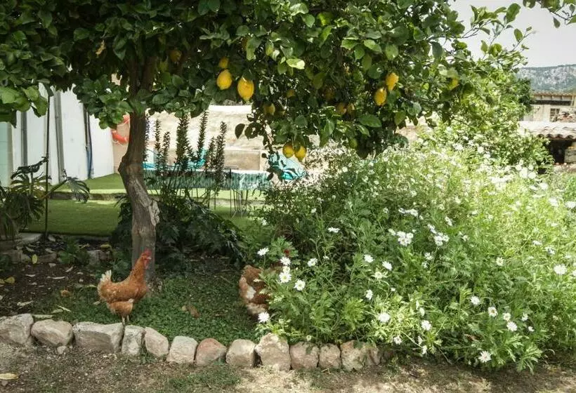 Sa Fita Backpackers   Albergue Juvenil