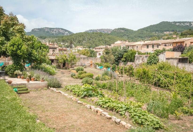 Sa Fita Backpackers   Albergue Juvenil