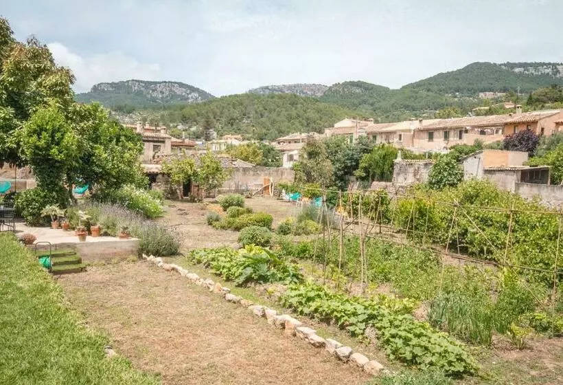 Sa Fita Backpackers   Albergue Juvenil