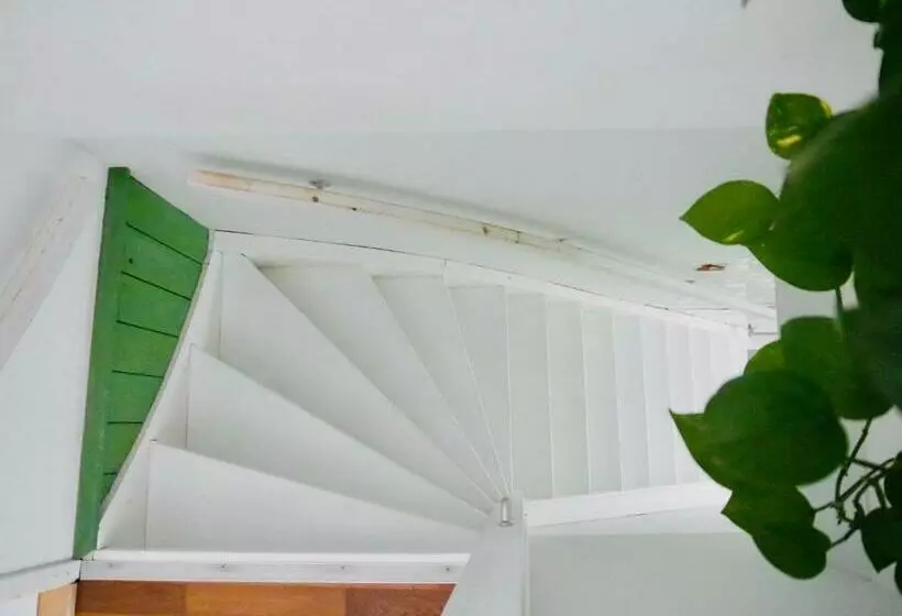 Aamiaismajoitus (B&B) Groenlokaal