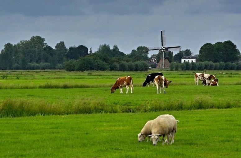Bed and Breakfast House Of Cocagne