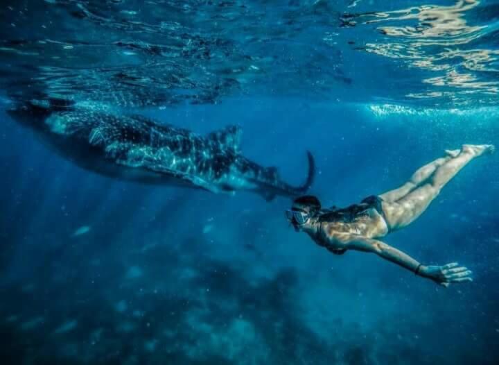 Down South 118 Beach Resort