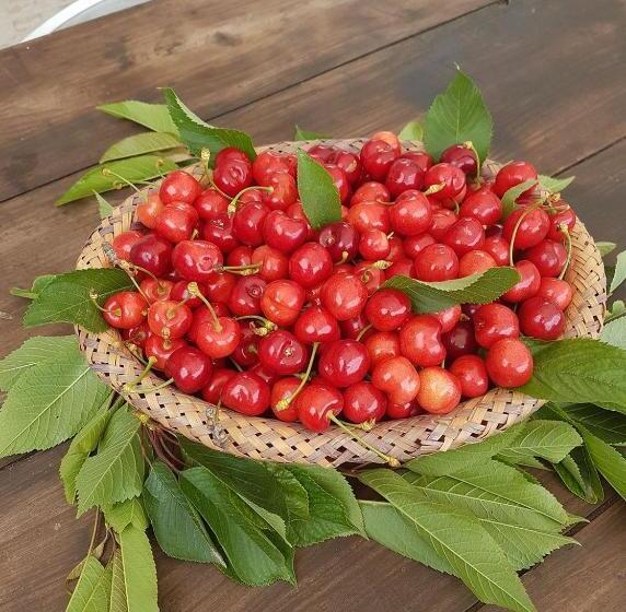 בית מלון כפרי Agriturismo Il Rifugio