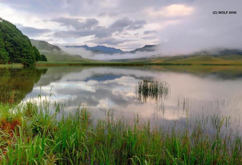 ホテル Giantscup Wilderness Reserve