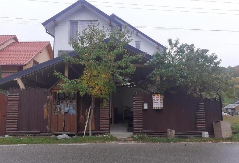 بنسيون Casa Denisa Vidraru Transfgarasan