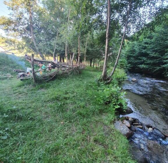 بنسيون Casa Denisa Vidraru Transfgarasan