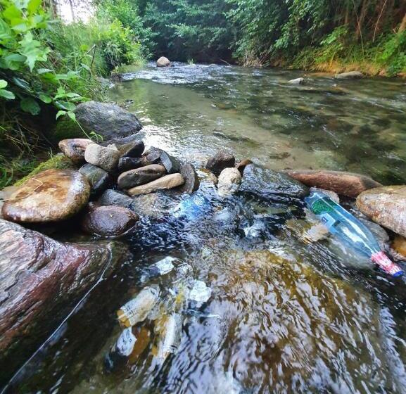 بنسيون Casa Denisa Vidraru Transfgarasan