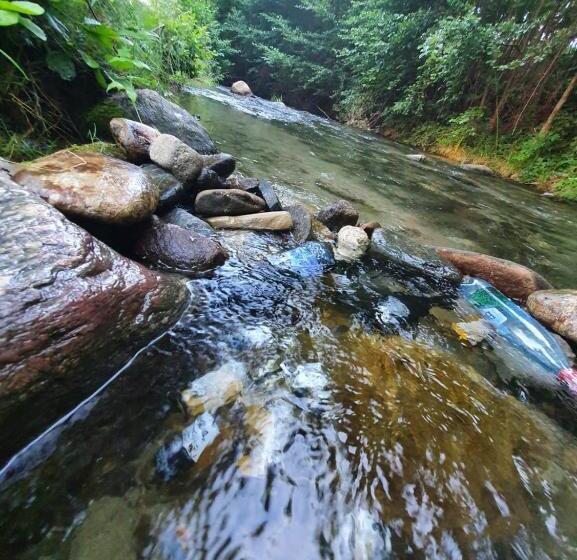 بنسيون Casa Denisa Vidraru Transfgarasan