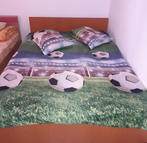 بنسيون Casa Denisa Vidraru Transfgarasan