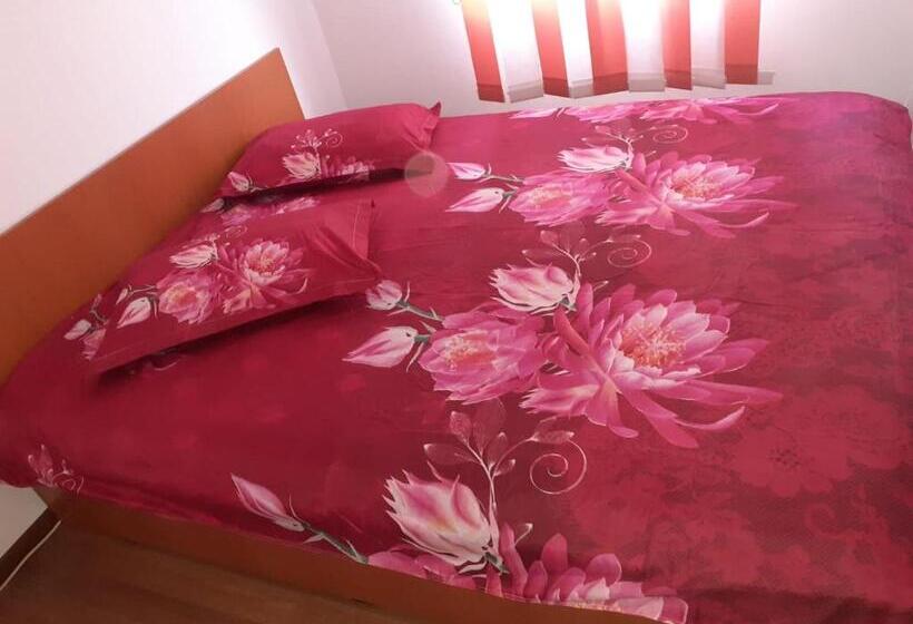 بنسيون Casa Denisa Vidraru Transfgarasan