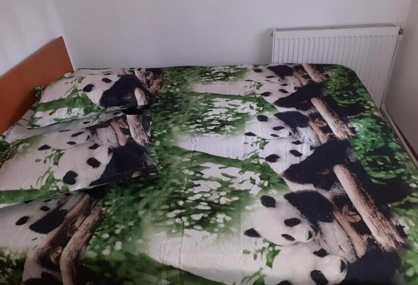 بنسيون Casa Denisa Vidraru Transfgarasan