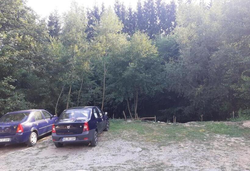 بنسيون Casa Denisa Vidraru Transfgarasan