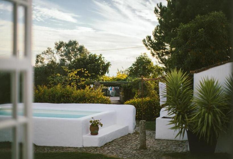 ペンション Casa Paço D`ilhas