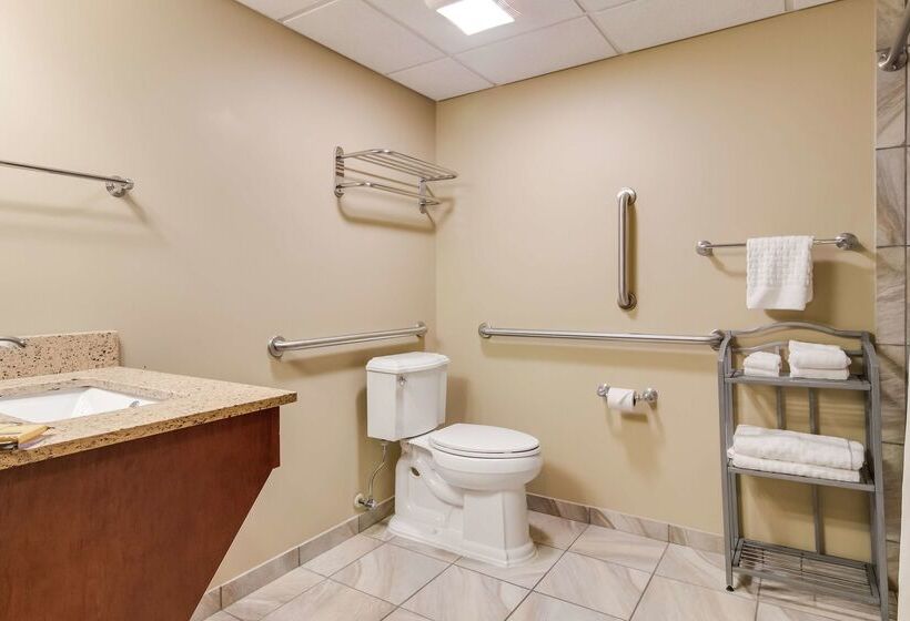 فندق Best Western Plus Traverse City