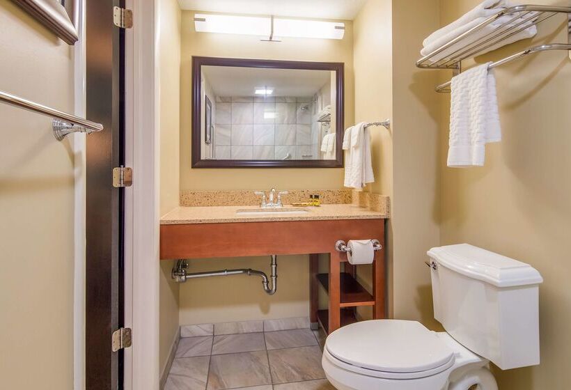 فندق Best Western Plus Traverse City