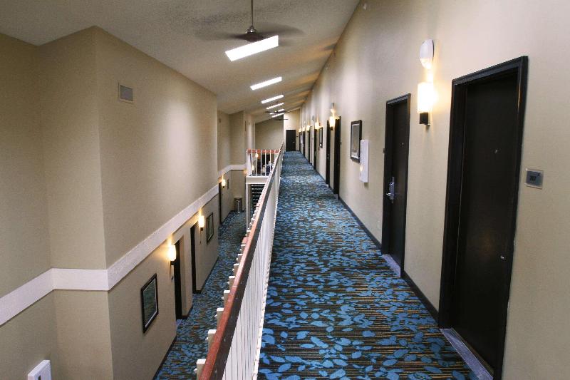 فندق Best Western Plus Traverse City