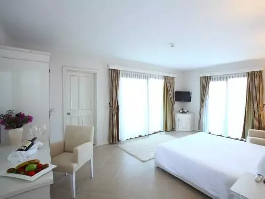 호텔 Temenos Luxury  & Spa  Boutique Class