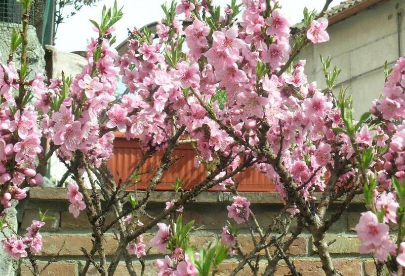 צימר La Torretta   Cerreto Grue