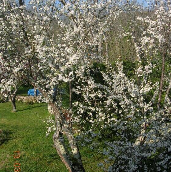 Bed and Breakfast Le Colombier