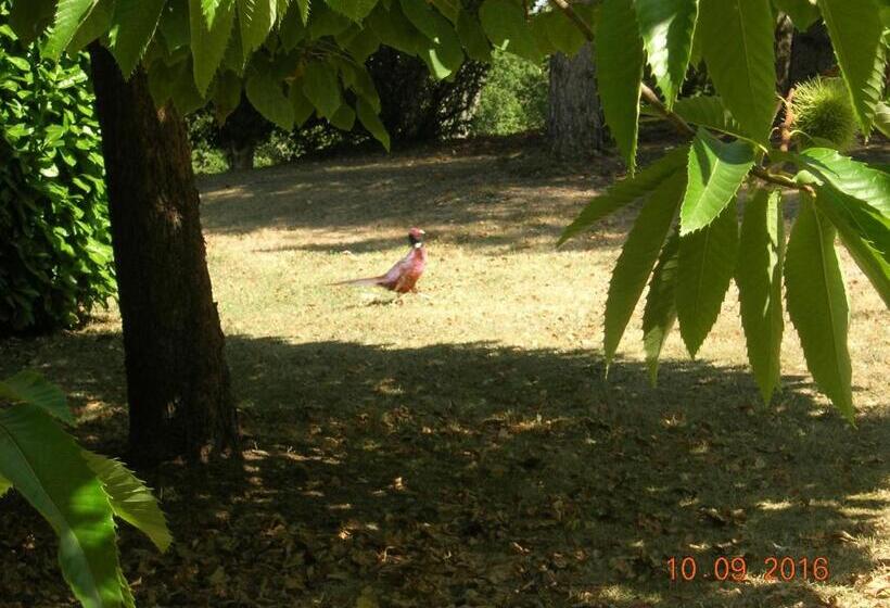 Bed and Breakfast Le Colombier