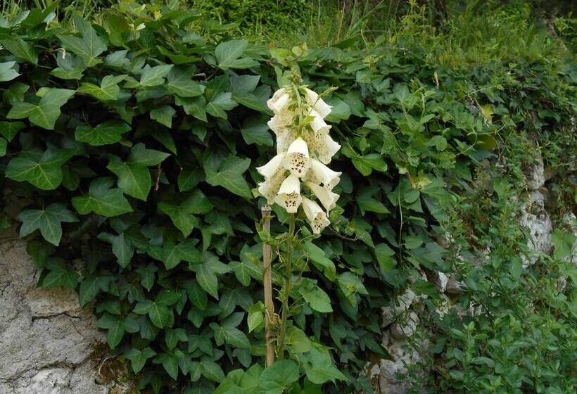 Bed and Breakfast Le Colombier