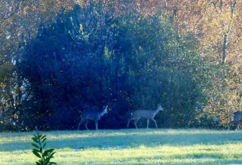 ベッドアンドブレックファースト Le Colombier