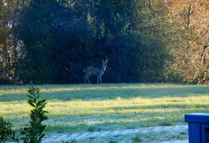 Bed and Breakfast Le Colombier