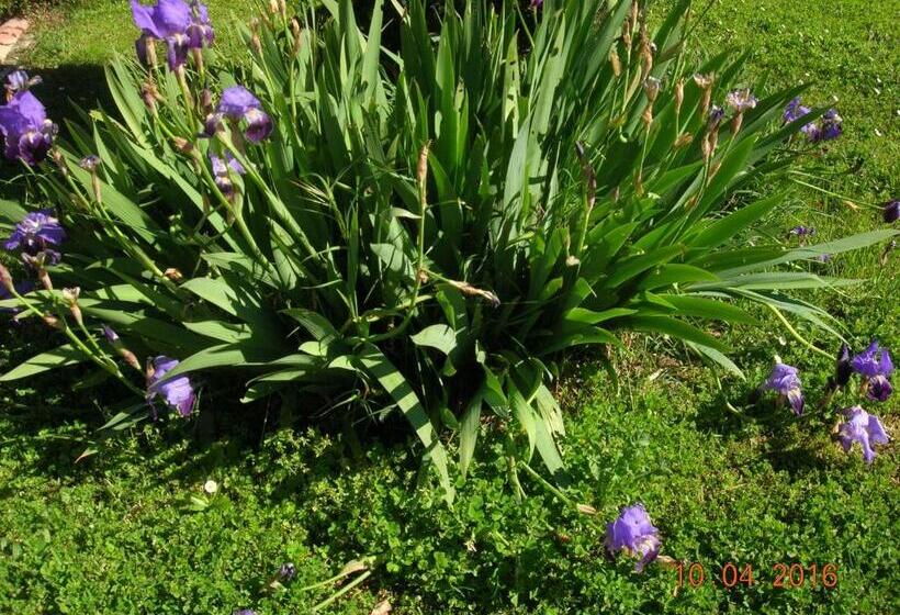 Bed and Breakfast Le Colombier