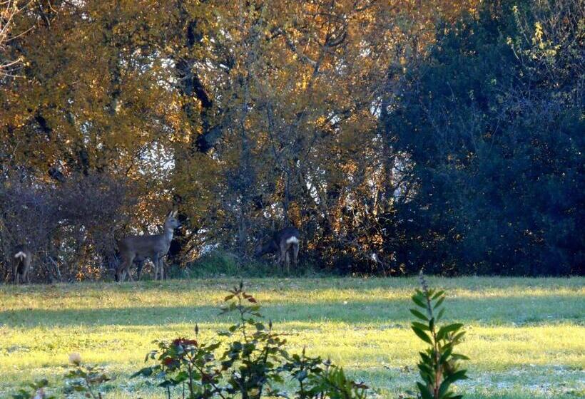 Bed and Breakfast Le Colombier