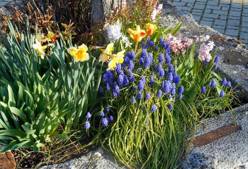 Bed and Breakfast Le Colombier