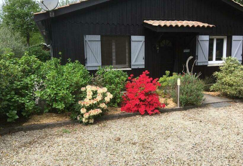 住宿加早餐  Chambre D Hôte Maison De L Amitié