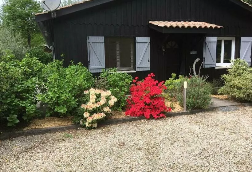 Aamiaismajoitus (B&B) Chambre D Hôte Maison De L Amitié