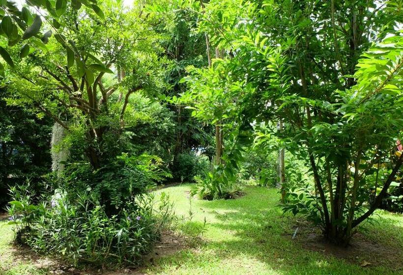 مبيت وإفطار Rivercreek Estate