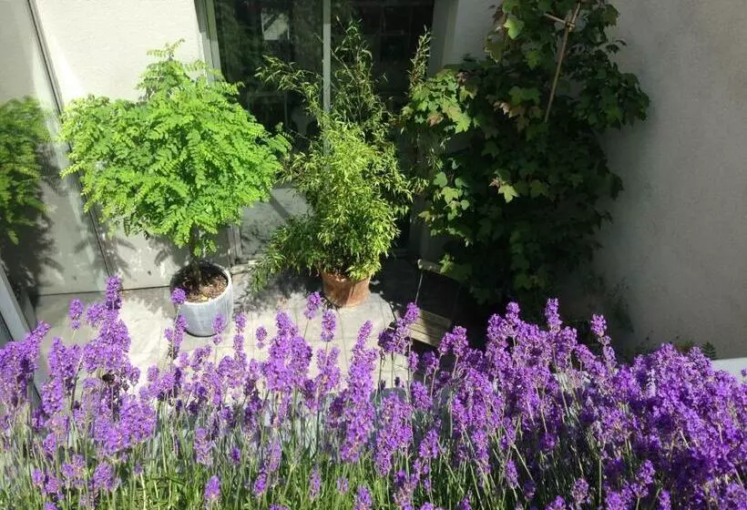 Bed and Breakfast Villa Yburg