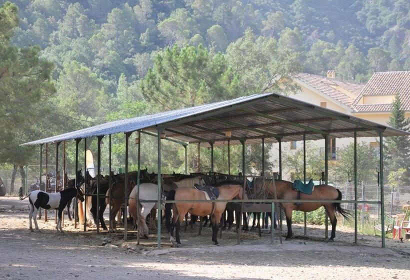 ホテル Alojamientos Rural Tejerina