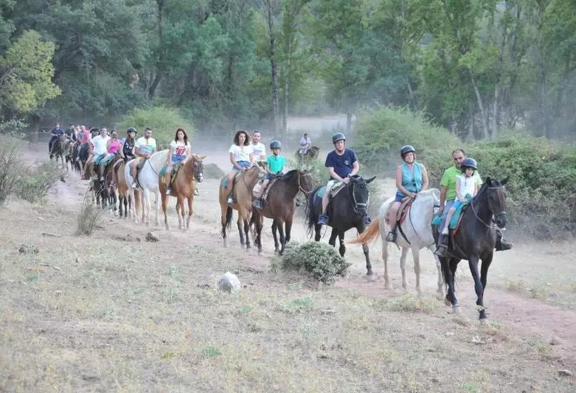 ホテル Alojamientos Rural Tejerina