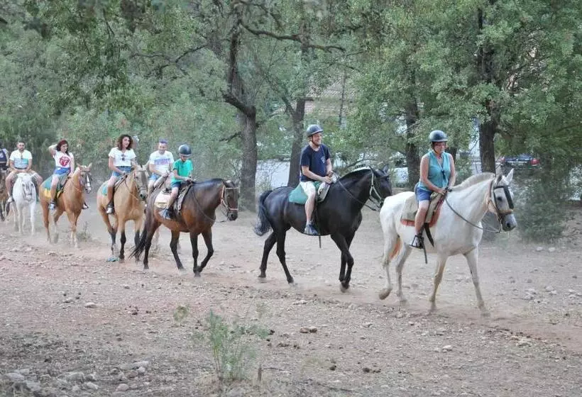 ホテル Alojamientos Rural Tejerina