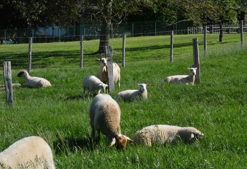 هتل Le Fagotin Youth Hostel