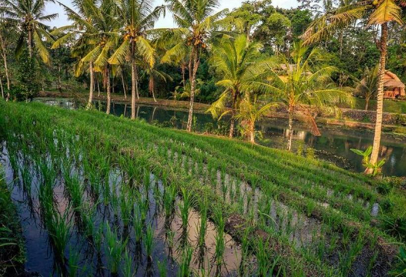 פנסיון Alam Taman Villa