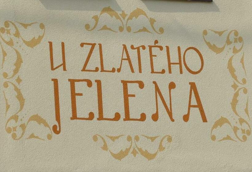 ペンション Guest House U Zlatého Jelena