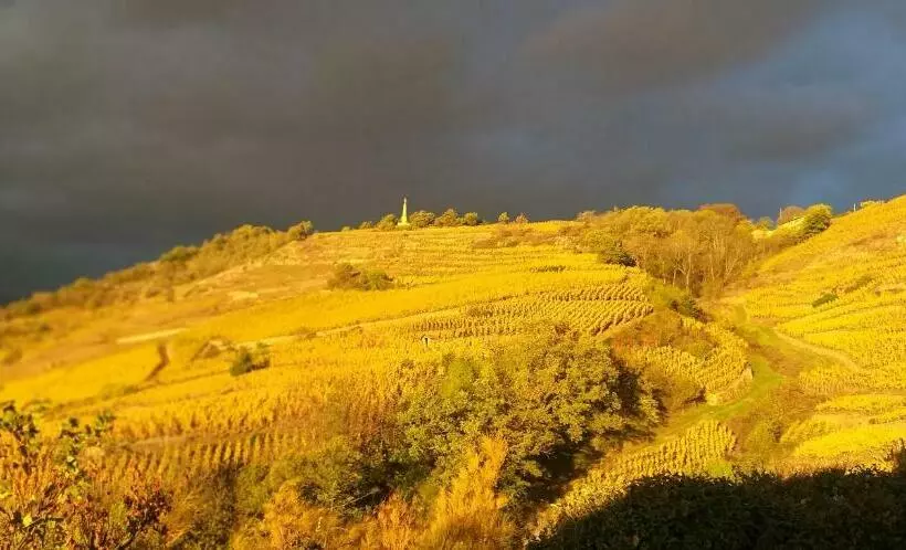 ペンション Wine Passion Panoramic
