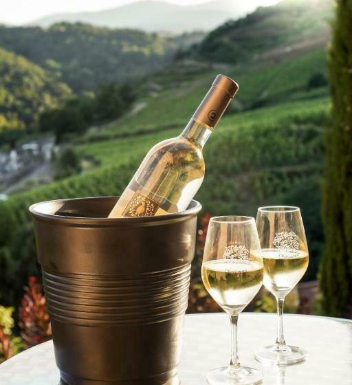 Pensionat Wine Passion Panoramic