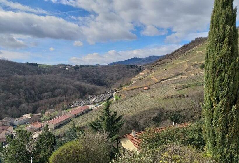 Pensionat Wine Passion Panoramic