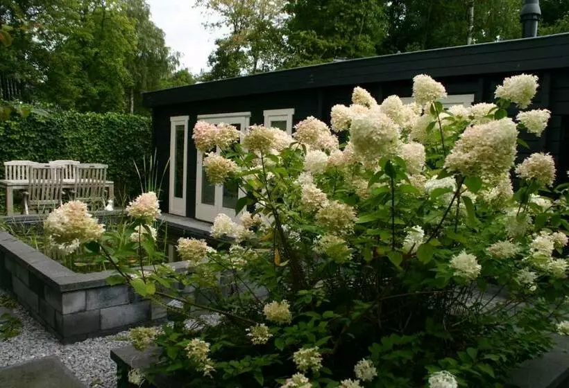 B&b Gaasterland